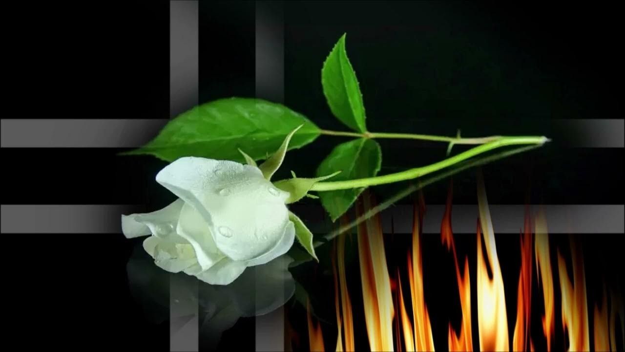 Digital Graphic Art